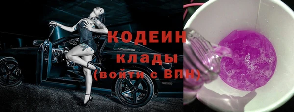 индика Абаза