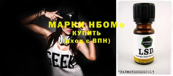 индика Абаза