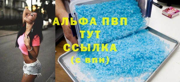 индика Абаза
