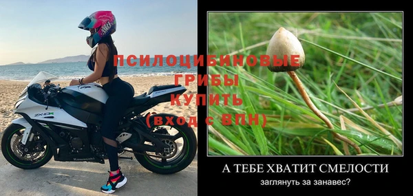 бошки Абинск