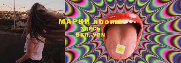индика Абаза