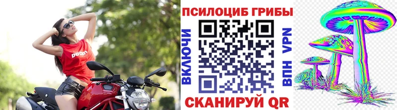 kraken зеркало  Новочебоксарск  Галлюциногенные грибы ЛСД 