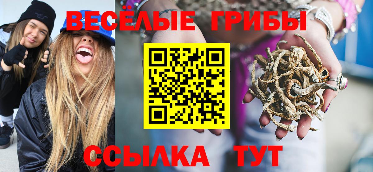 купить  цена  Вход с VPN  Новочебоксарск  Псилоцибиновые грибы мицелий  Галлюциногенные грибы мухоморы 