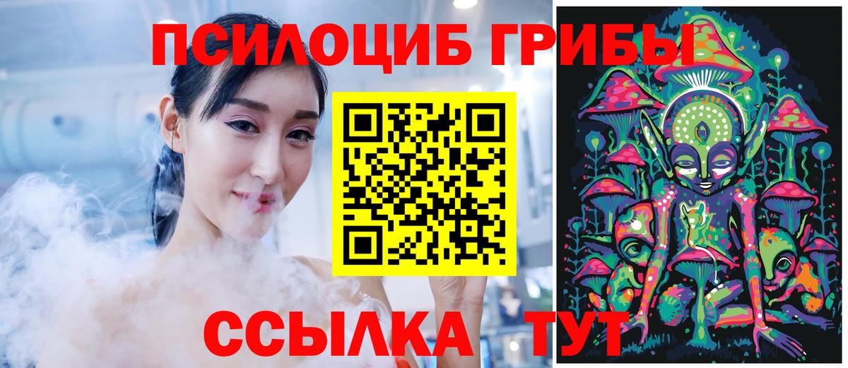 Псилоцибиновые грибы Cubensis Новочебоксарск